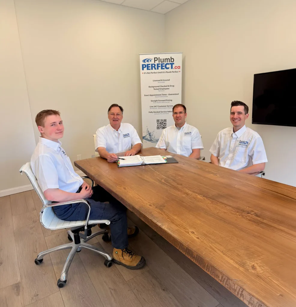 Plumb Perfect Team At Meeting Room Large